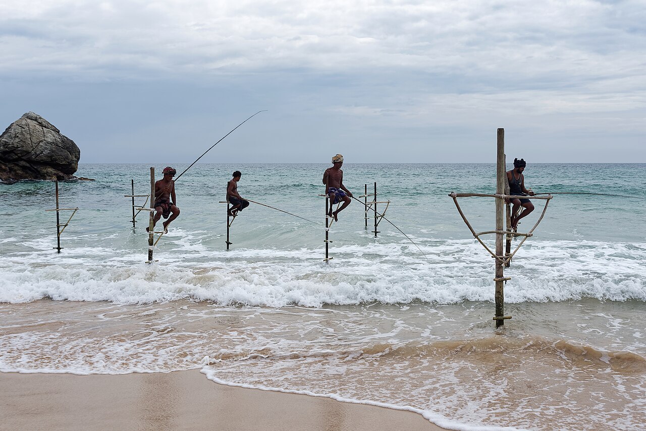 Traditional stilt fishermen near Galle